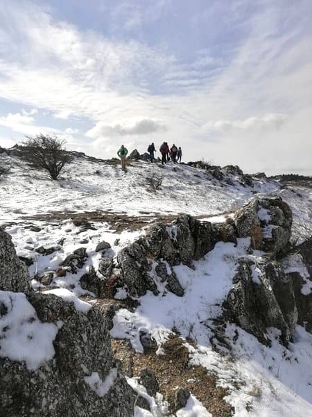 Kirándulás a Budai-hegyekben