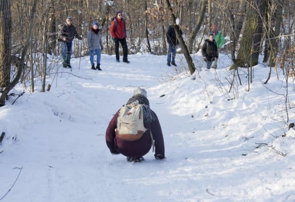 Kirándulás a Budai-hegyekben